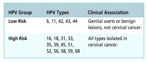 hpv high risk strains